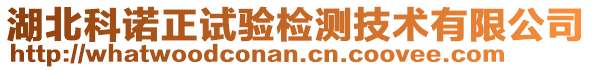 湖北科諾正試驗檢測技術(shù)有限公司