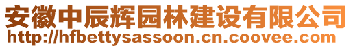 安徽中辰輝園林建設(shè)有限公司