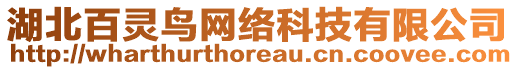 湖北百靈鳥網(wǎng)絡(luò)科技有限公司