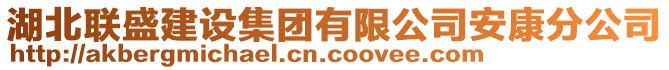 湖北聯(lián)盛建設(shè)集團有限公司安康分公司