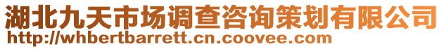 湖北九天市場(chǎng)調(diào)查咨詢策劃有限公司