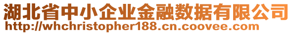 湖北省中小企業(yè)金融數(shù)據(jù)有限公司