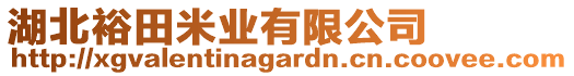 湖北裕田米業(yè)有限公司