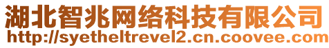 湖北智兆網(wǎng)絡(luò)科技有限公司