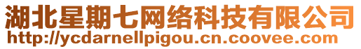 湖北星期七網(wǎng)絡(luò)科技有限公司