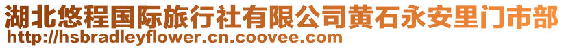 湖北悠程國(guó)際旅行社有限公司黃石永安里門(mén)市部