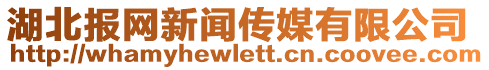 湖北報(bào)網(wǎng)新聞傳媒有限公司