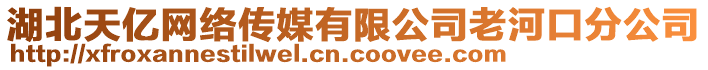 湖北天億網(wǎng)絡傳媒有限公司老河口分公司