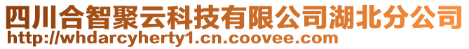 四川合智聚云科技有限公司湖北分公司