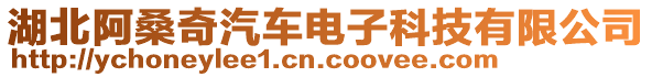 湖北阿桑奇汽車電子科技有限公司