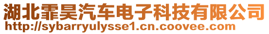 湖北霏昊汽車電子科技有限公司