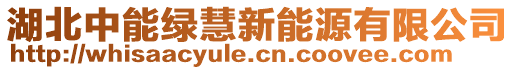 湖北中能綠慧新能源有限公司