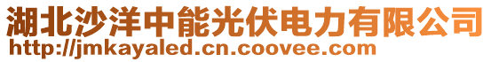 湖北沙洋中能光伏電力有限公司