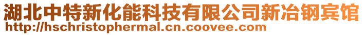 湖北中特新化能科技有限公司新冶鋼賓館