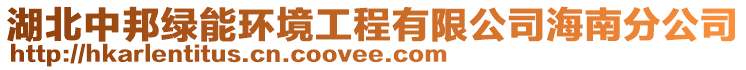 湖北中邦綠能環(huán)境工程有限公司海南分公司