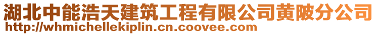 湖北中能浩天建筑工程有限公司黃陂分公司