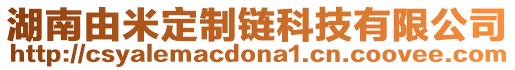 湖南由米定制鏈科技有限公司