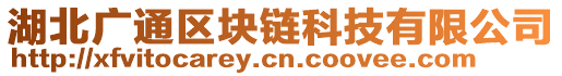 湖北廣通區(qū)塊鏈科技有限公司