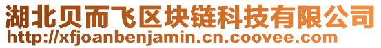 湖北貝而飛區塊鏈科技有限公司