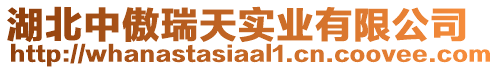 湖北中傲瑞天實業(yè)有限公司