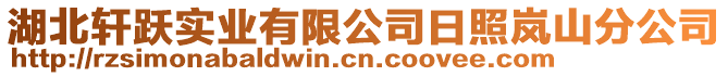 湖北軒躍實業(yè)有限公司日照嵐山分公司
