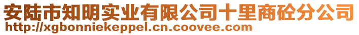 安陸市知明實(shí)業(yè)有限公司十里商砼分公司