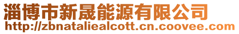 淄博市新晟能源有限公司