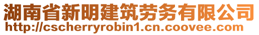 湖南省新明建筑勞務有限公司