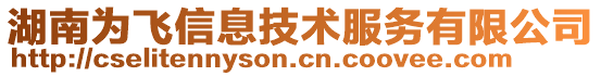 湖南為飛信息技術服務有限公司