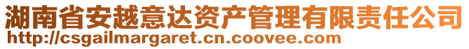 湖南省安越意達(dá)資產(chǎn)管理有限責(zé)任公司