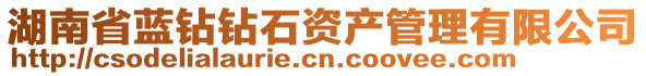 湖南省藍(lán)鉆鉆石資產(chǎn)管理有限公司