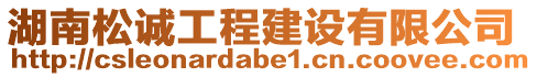 湖南松誠(chéng)工程建設(shè)有限公司