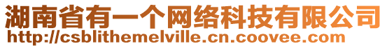 湖南省有一個網絡科技有限公司