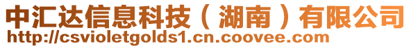 中匯達信息科技（湖南）有限公司