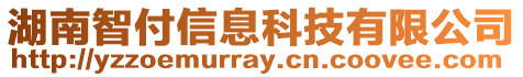 湖南智付信息科技有限公司