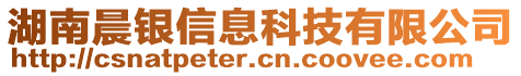 湖南晨銀信息科技有限公司