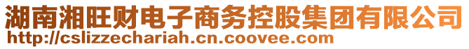 湖南湘旺財(cái)電子商務(wù)控股集團(tuán)有限公司