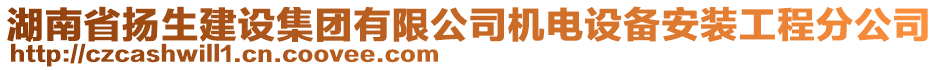 湖南省揚(yáng)生建設(shè)集團(tuán)有限公司機(jī)電設(shè)備安裝工程分公司