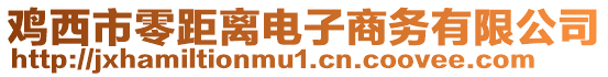 雞西市零距離電子商務(wù)有限公司