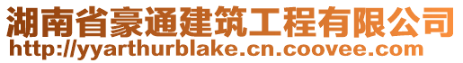 湖南省豪通建筑工程有限公司