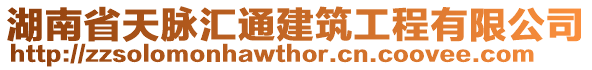 湖南省天脈匯通建筑工程有限公司