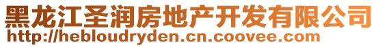 黑龍江圣潤房地產(chǎn)開發(fā)有限公司