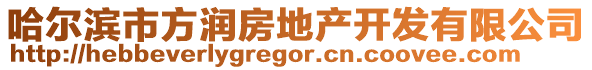 哈爾濱市方潤(rùn)房地產(chǎn)開(kāi)發(fā)有限公司