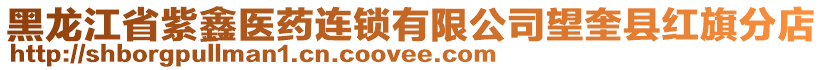 黑龍江省紫鑫醫(yī)藥連鎖有限公司望奎縣紅旗分店