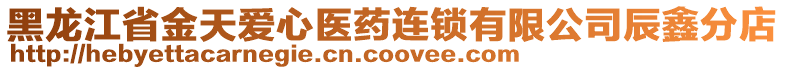 黑龍江省金天愛心醫(yī)藥連鎖有限公司辰鑫分店