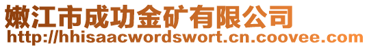 嫩江市成功金礦有限公司
