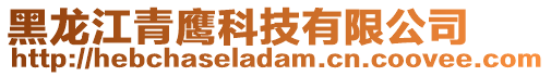 黑龍江青鷹科技有限公司