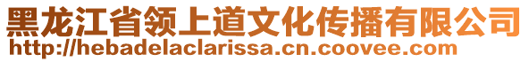 黑龍江省領(lǐng)上道文化傳播有限公司