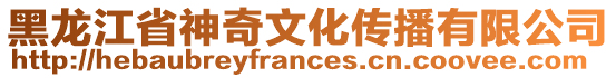 黑龍江省神奇文化傳播有限公司