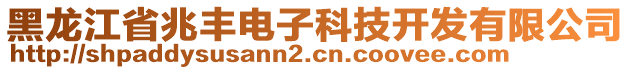 黑龍江省兆豐電子科技開(kāi)發(fā)有限公司